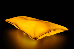 Copyright: Michele Schuff