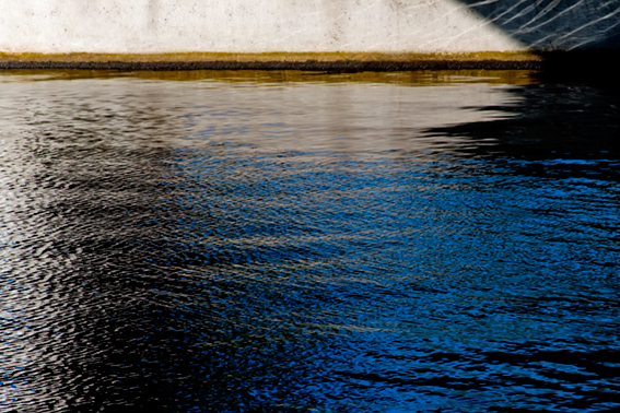 © Silvia Sinha/VG-Bildkunst